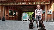 Die Leiterin des Ebracher Baumwipfelpfades Sandra Fischer bei der Arbeit, mit dabei ihre Hunde, ein Traum, findet sie.
