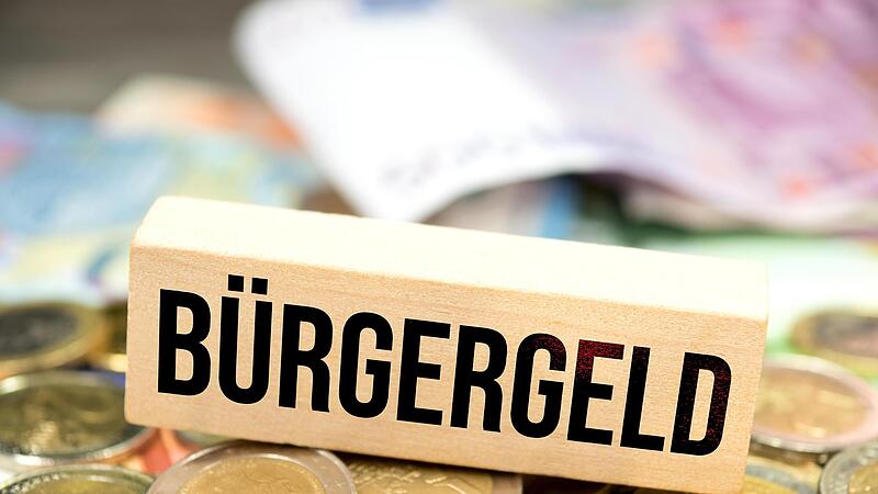 Das B&uuml;rgergeld hat sich nicht durchgesetzt.