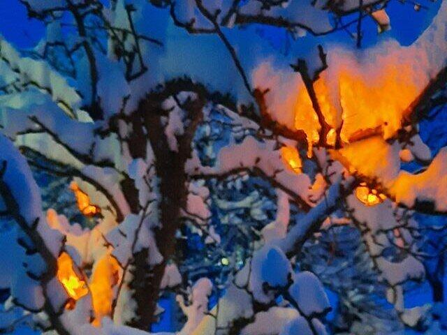 Schnee in Kulmbach: Die sch&ouml;nsten Leserfotos