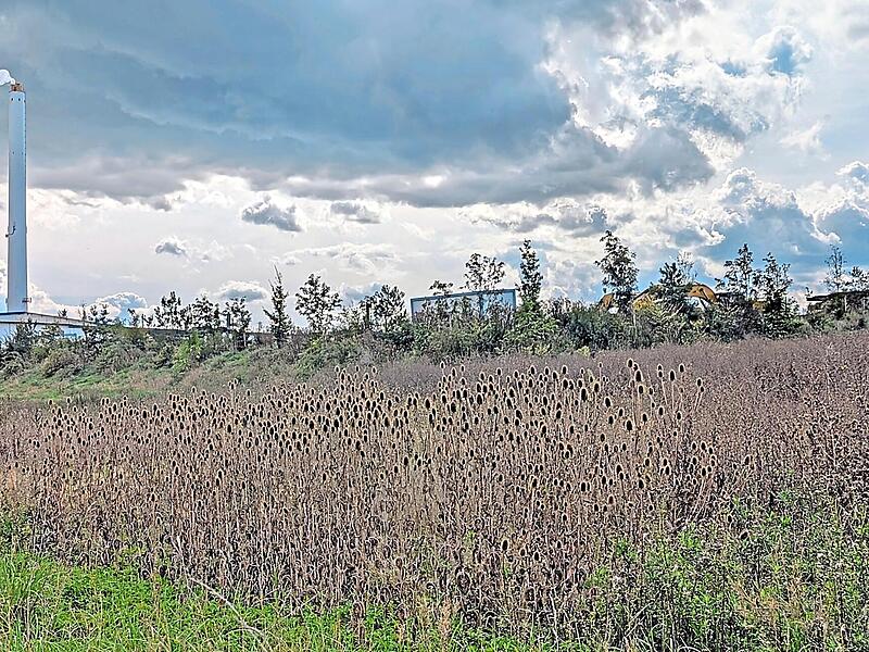 Auch auf dieser Fl&auml;che bei Schlammersdorf soll das Gewerbegebiet &bdquo;Regnitzwehr&ldquo; entstehen. Barbara Hollfelder