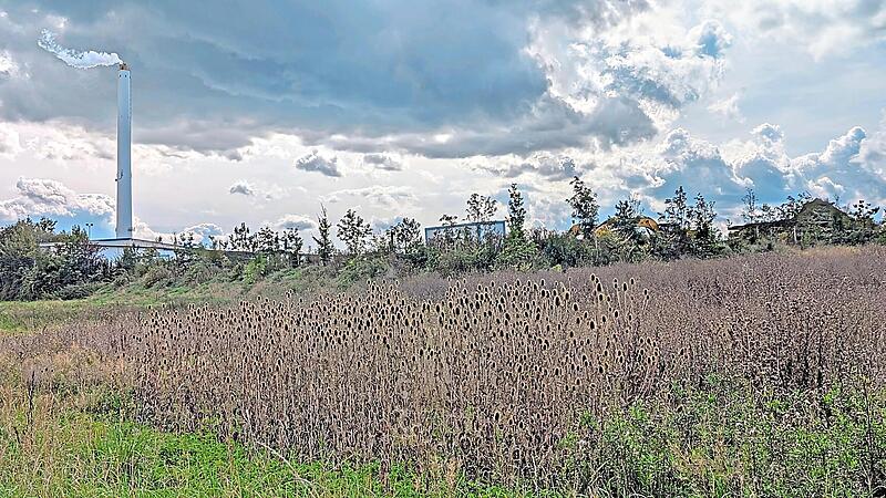 Auch auf dieser Fl&auml;che bei Schlammersdorf soll das Gewerbegebiet &bdquo;Regnitzwehr&ldquo; entstehen. Barbara Hollfelder