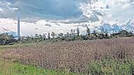 Auch auf dieser Fl&auml;che bei Schlammersdorf soll das Gewerbegebiet &bdquo;Regnitzwehr&ldquo; entstehen. Barbara Hollfelder
