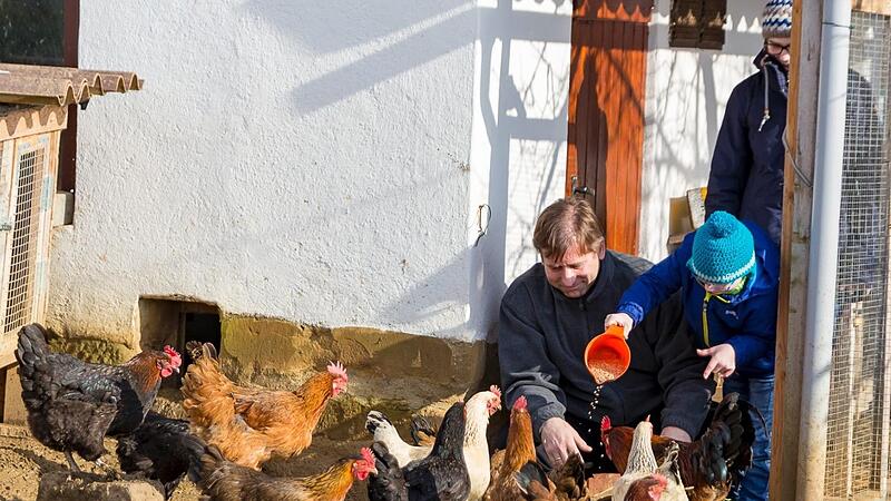 Abschalten kann er am besten Zuhause, etwa wenn er sich mit seinen Kindern um die Ulm'sche Hühnerschar im eigenen Garten kümmert. Foto: Stephan Großmann Abschalten kann er am besten Zuhause, etwa wenn er sich mit seinen Kindern um die Ulm'sche Hühnerschar im eigenen Garten kümmert. Foto: Stephan Großmann