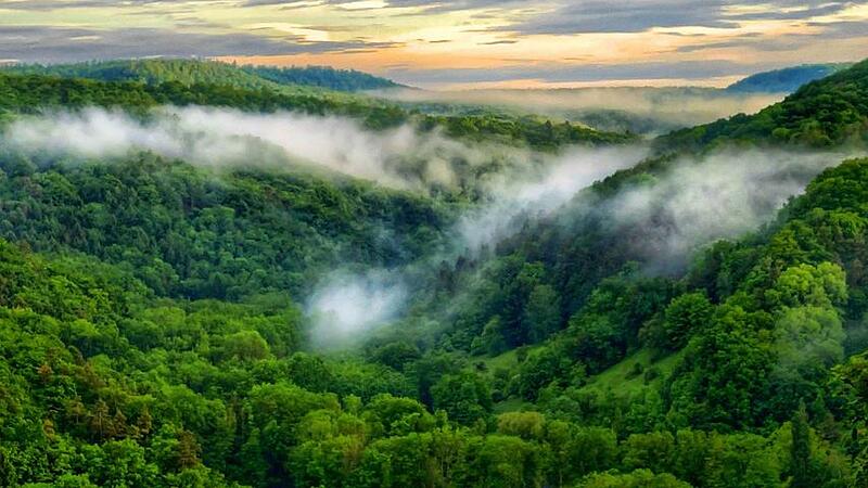 Durch einsame Wälder streifen, unberührte Canyons  bewundern und ein wildromantisches Bachtal entdecken – all das bietet der Schlangenweg im Steigerwald.