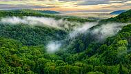 Durch einsame Wälder streifen, unberührte Canyons  bewundern und ein wildromantisches Bachtal entdecken – all das bietet der Schlangenweg im Steigerwald.