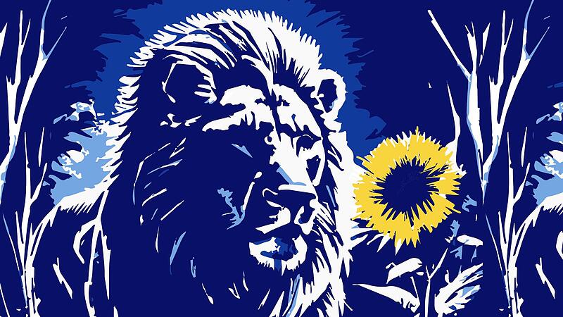 Eine Frau k&auml;mpft sich zur&uuml;ck ins Leben &ndash; und glaubt dabei auch an die Symbolkraft eines L&ouml;wen und einer Sonnenblume. Hintergrund dieses sehr pers&ouml;nlichen Gespr&auml;chs mit dem Coburger Tageblatt ist eine brutale Schl&auml;gerei vom September 2022. Sie hat ...