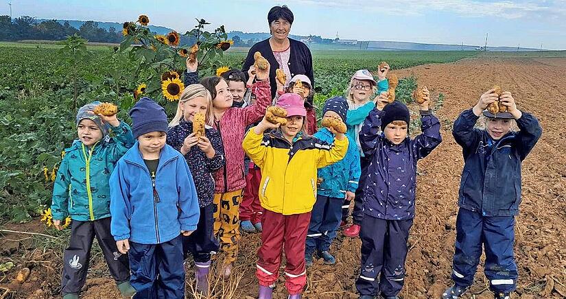 Die kleinen Erntehelfer aus dem Haus der Kinder in Ramsthal waren mit Ortsbäuerin Helene Greubel eifrig bei der Sache.