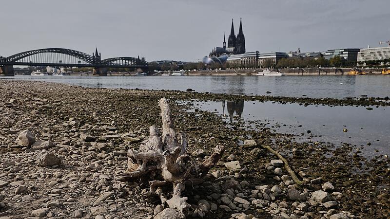 Niedrigwasser am Rhein in Köln Niedrigwasser am Rhein in Köln