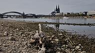 Niedrigwasser am Rhein in K&ouml;ln
