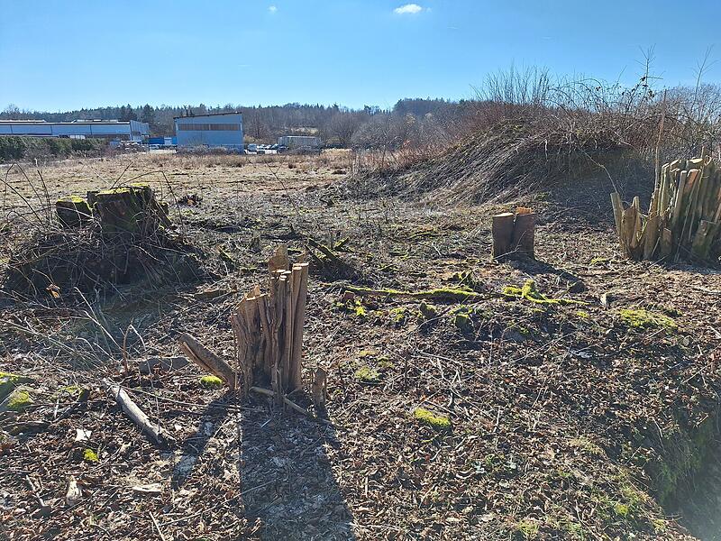 Betrieb f&uuml;r Gewerbegebiet Volkers: auch Wohnen m&ouml;glich
