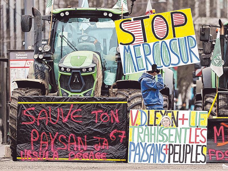 Landwirte protestieren am Mittwoch in Straßburg gegen das Mercosur-Abkommen. Die Entscheidung des EU-Parlaments, dieses überprüfen zu lassen, spaltet nun die Grünen. Landwirte protestieren am Mittwoch in Straßburg gegen das Mercosur-Abkommen. Die Entscheidung des EU-Parlaments, dieses überprüfen zu lassen, spaltet nun die Grünen.