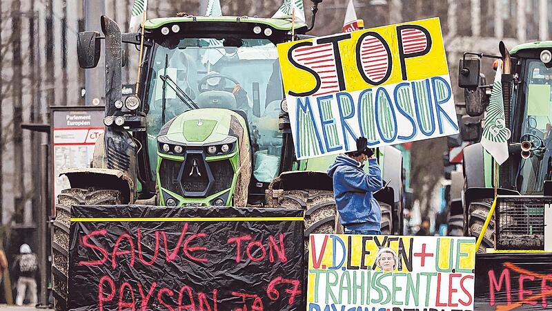Landwirte protestieren am Mittwoch in Stra&szlig;burg gegen das Mercosur-Abkommen. Die Entscheidung des EU-Parlaments, dieses &uuml;berpr&uuml;fen zu lassen, spaltet nun die Gr&uuml;nen.