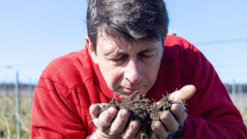 Hugues Poret riecht an der Erde, auf der seine Reben f&uuml;r Champagner wachsen.