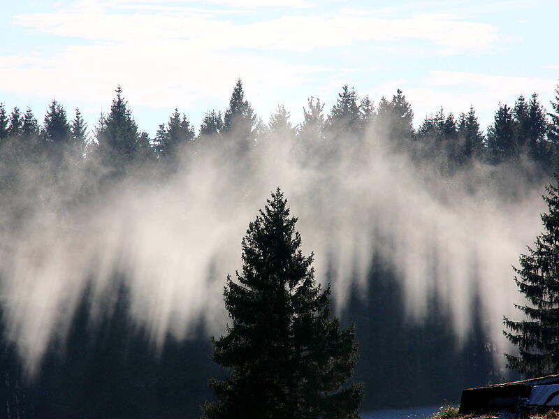 Wie Gespenster steigen die Nebelschwaden aus dem Wald, wie hier auf dem Feuerberg.