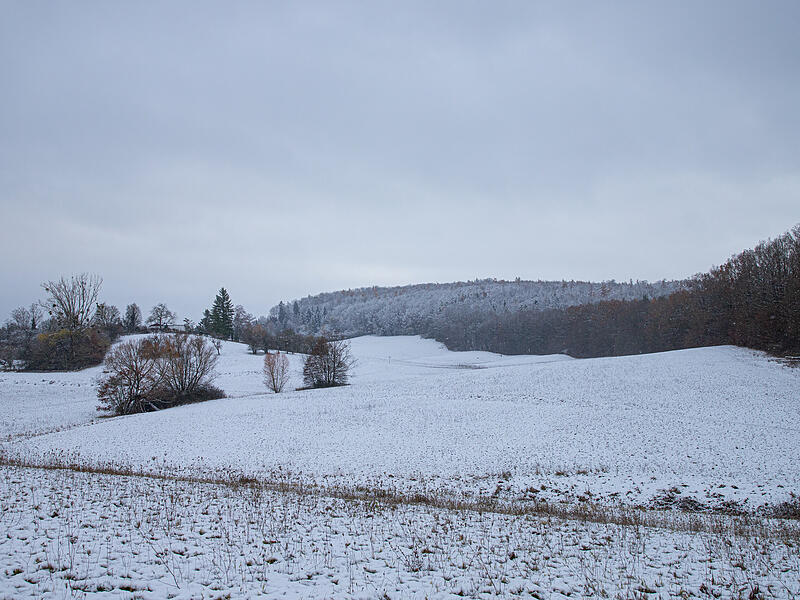 Rodeln Bamberg Der vor allem bei den Gaustadtern beliebte Rodelhang „Waldwiese" bietet ideale Bedingungen für die Kleinsten.