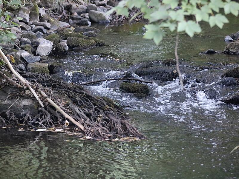 Kl&auml;ranlage Wildflecken