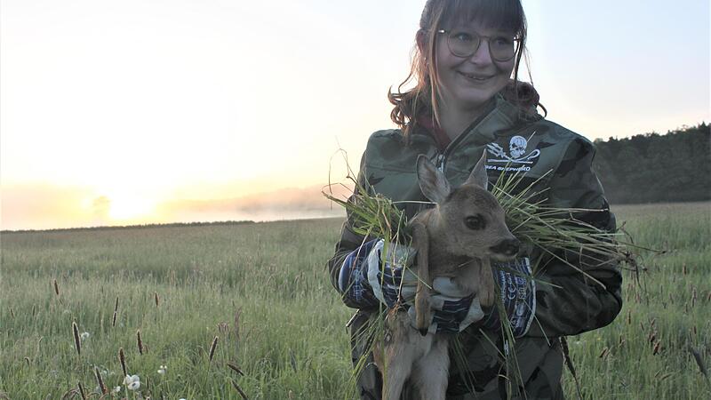 EIne Helferin birgt das erste Kitz.