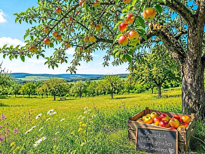 Streuobstwiese mit Erntekiste.Hans Hübner Streuobstwiese mit Erntekiste.Hans Hübner