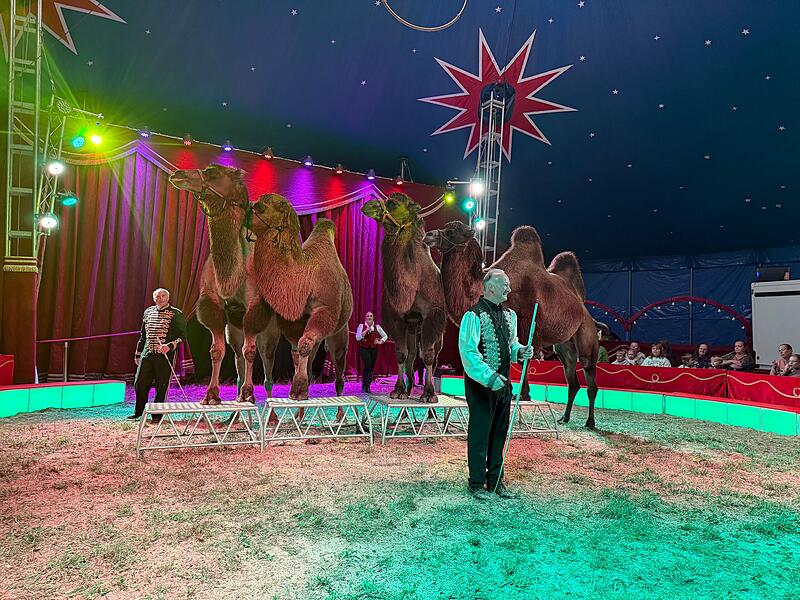 Zirkus Henry in Coburg: Premiere mit Dank f&uuml;r Corona-Hilfe