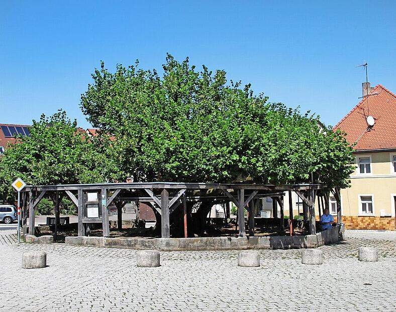 In der Ortsmitte sollen neue Fahrradstellplätze entstehen – nicht aber im unmittelbaren Umfeld der Linde.