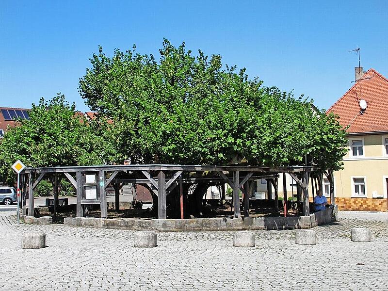 In der Ortsmitte sollen neue Fahrradstellplätze entstehen – nicht aber im unmittelbaren Umfeld der Linde.