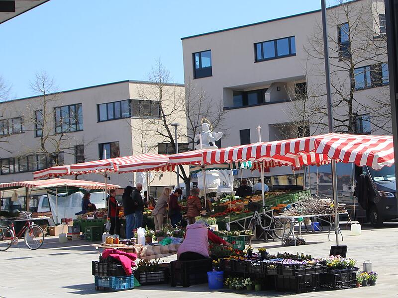 Auch regional und saisonal einkaufen, hilft der Umwelt.