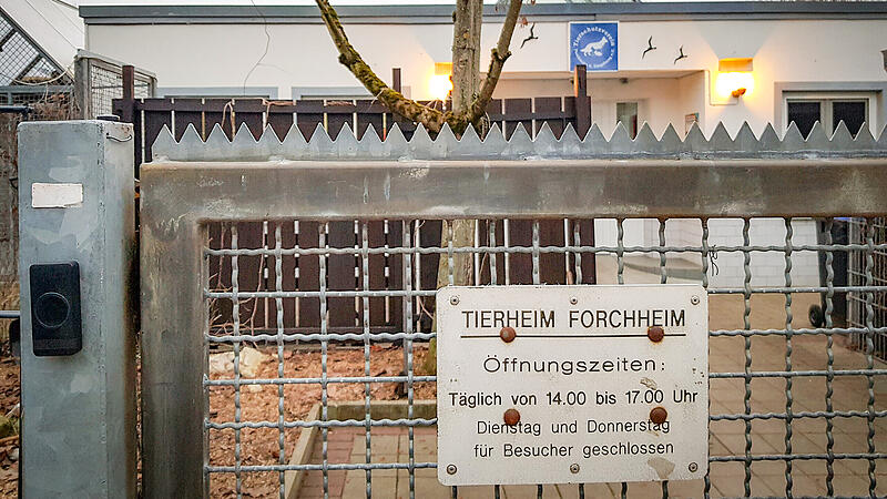Beim Tierheim Forchheim bleibt das Tor vorerst geschlossen und Besucher m&uuml;ssen klingeln.
