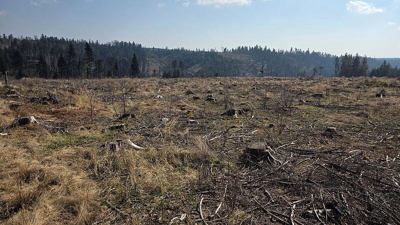Die Kahlfl&auml;che Gerbersh&uuml;gel in Teuschnitz.