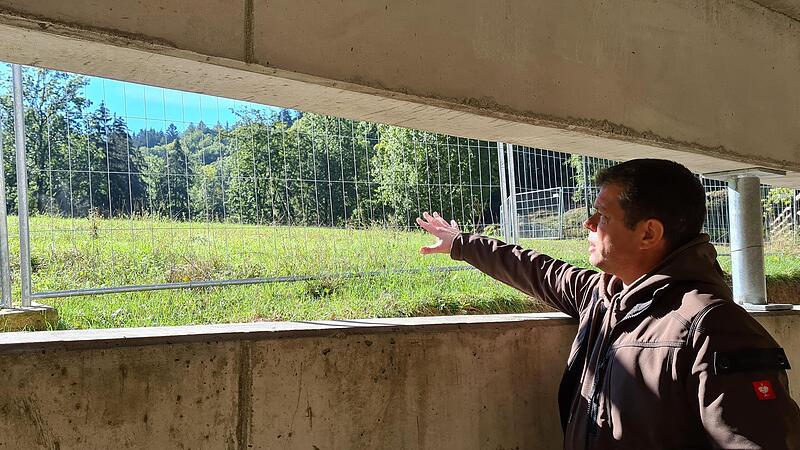 Im Besuchertunnel beobachten Besucher die Tiere aus der Ameisenperspektive.Forchheim & Fränkische Schweiz Im Besuchertunnel beobachten Besucher die Tiere aus der Ameisenperspektive.Forchheim & Fränkische Schweiz