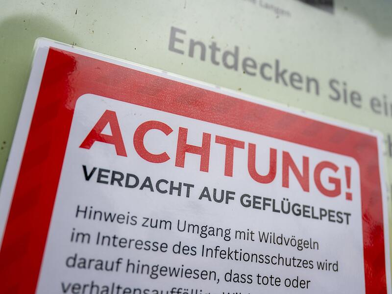 Vogelgrippe