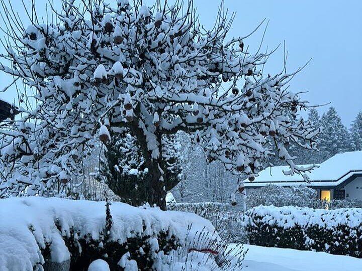 Schnee in Kulmbach: Die sch&ouml;nsten Leserfotos