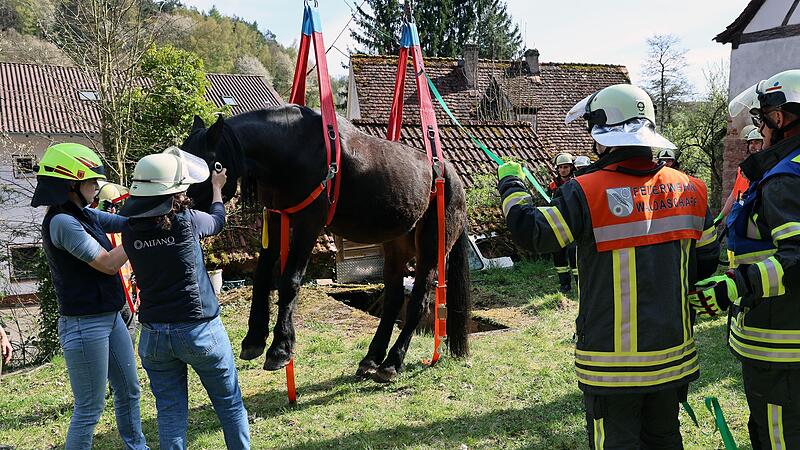 Pferd aus Grube gerettet