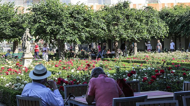 Im Sommer erbl&uuml;ht der Rosengarten der Neuen Residenz.
