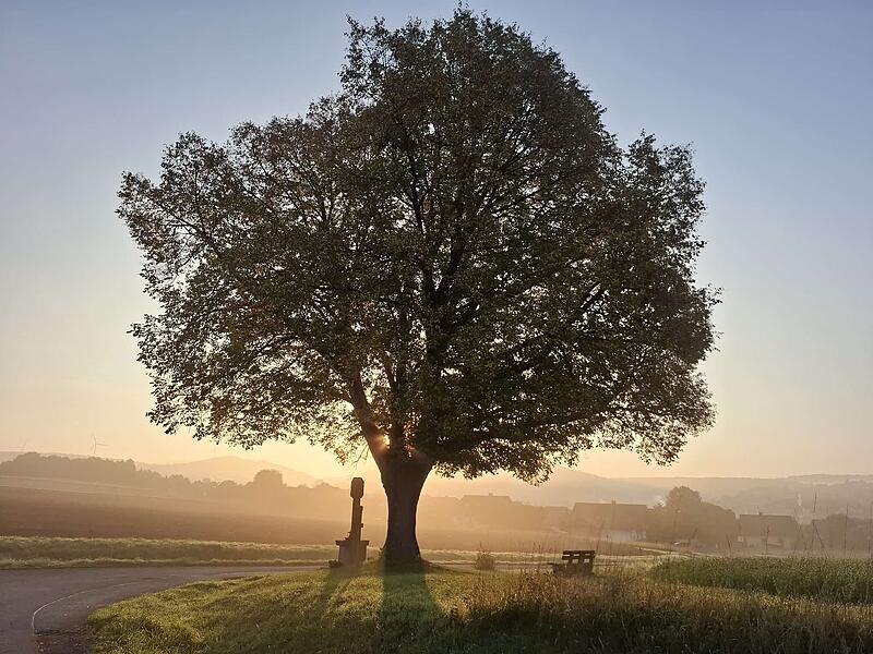 Ein Sonnenaufgang Anfang Oktober in Nüdlingen: Aufgenommen im Bereich am Mehlbach nähe Siebener Straße.