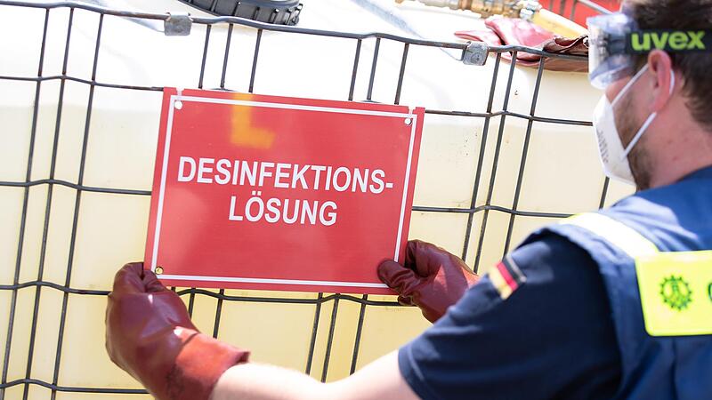 Chemische Keule: Gegen die Schweinepest ist kein Kraut gewachsen.