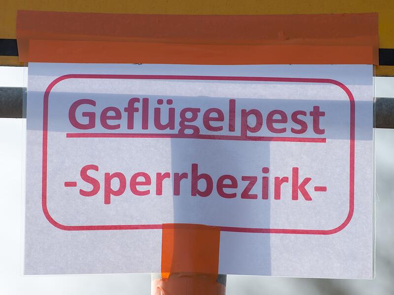 Geflügelpest