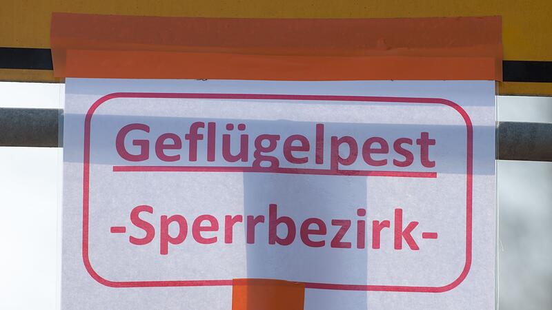 Geflügelpest