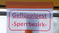 Geflügelpest