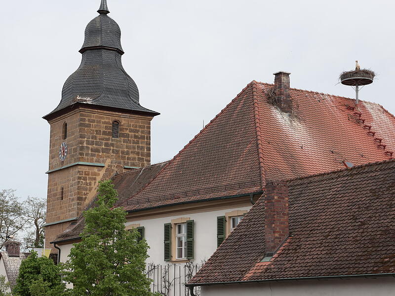 Störche in PautzfeldForchheim & Fränkische Schweiz Störche in Pautzfeld