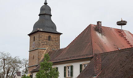 St&ouml;rche in Pautzfeld