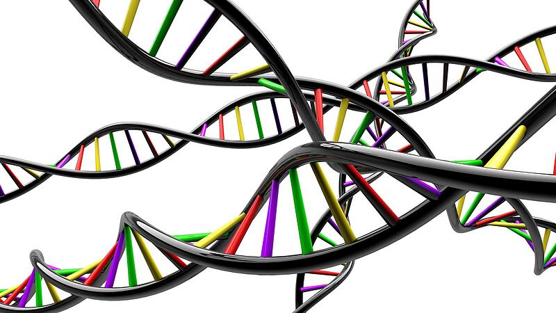 Unabh&auml;ngig von einer medizinischen Geschlechtsangleichung sollen Menschen k&uuml;nftig j&auml;hrlich unb&uuml;rokratischer entscheiden k&ouml;nnen, was in ihrem Geschlechtseintrag steht.
