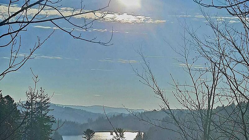 Sonniger WintertagFrostbilder aus dem Frankenwald