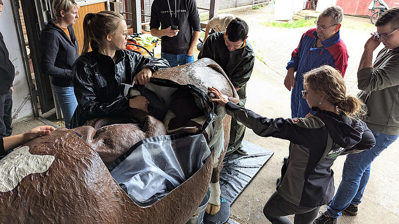 Simulator f&uuml;r GeburtshilfeSkat Tunier