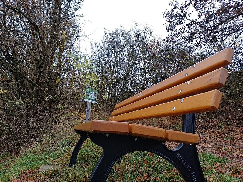 Eine Parkbank im WaldSandlerbräu: Blick auf die alten Gebäude am Schwedensteg
