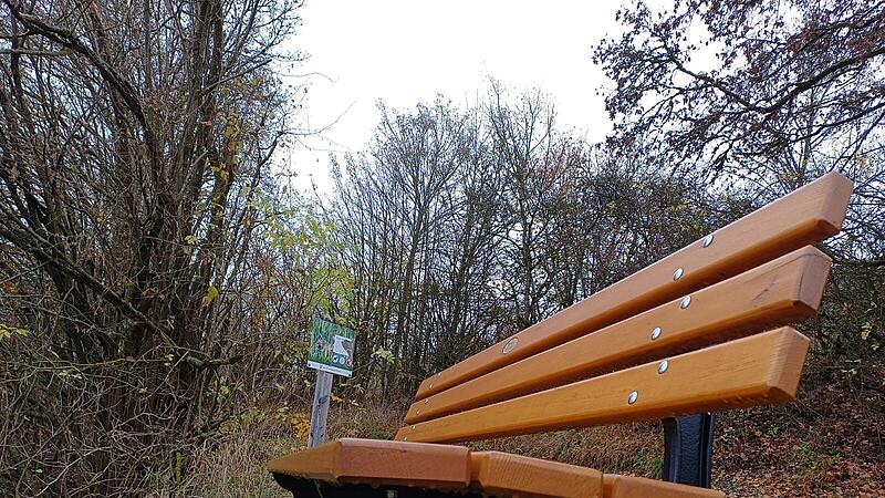 Eine Parkbank im WaldSandlerbr&auml;u: Blick auf die alten Geb&auml;ude am Schwedensteg