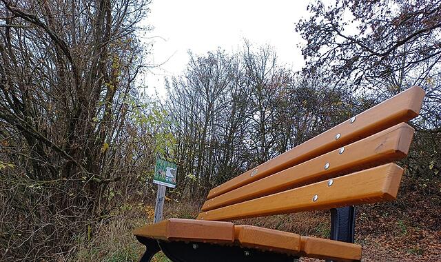 Eine Parkbank im WaldSandlerbräu: Blick auf die alten Gebäude am Schwedensteg Eine Parkbank im WaldSandlerbräu: Blick auf die alten Gebäude am Schwedensteg