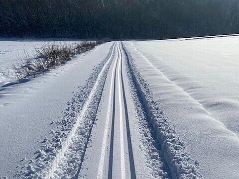 Frisch gespurte Loipen in N&uuml;dlingen am Wurmerich: &bdquo;Langlauf war ein Traum . Danke an die Gemeinde die das so toll gemacht hat.&ldquo;