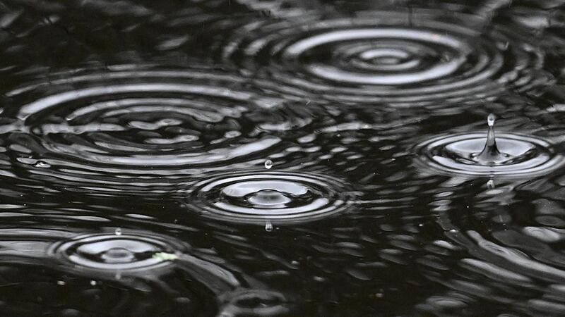 Wenn Wassertropfen in eine Pfütze fallen, ziehen sie Kreise. Doch was passiert, wenn ein Tropfen auf einer zähen Flüssigkeit geschüttelt wird? Terek Becic und sein Teampartner Luan Janal sind dieser Frage nachgegangen.