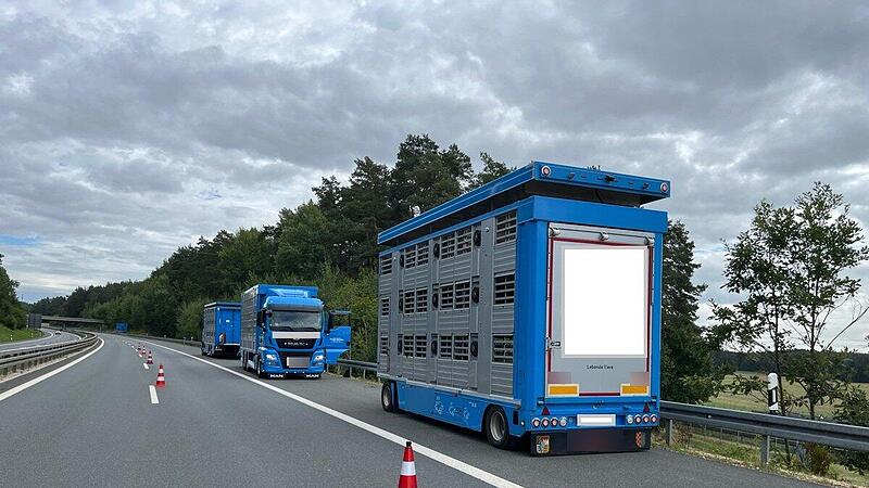 A70 bei Stadelhofen: Schweinetransporter hat Panne auf Fahrbahn