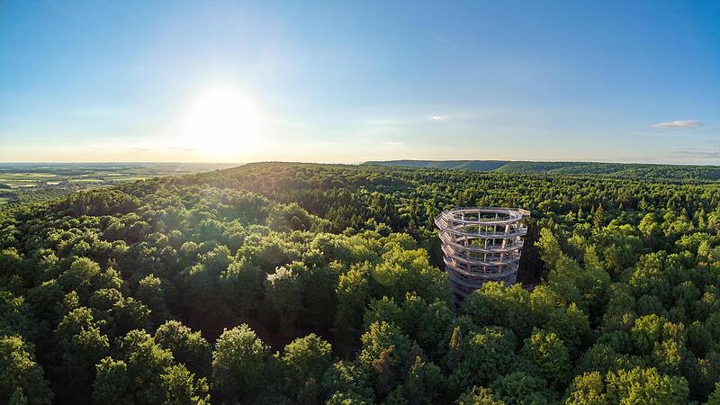Ist die Zukunft des Baumwipfelpfades im Steigerwald wegen anhaltender Defizite in Gefahr? Bayerns Oberster Rechnungshof hat die Einrichtung und das Steigerwald-Zentrum jedenfalls im Blick. Ist die Zukunft des Baumwipfelpfades im Steigerwald wegen anhaltender Defizite in Gefahr? Bayerns Oberster Rechnungshof hat die Einrichtung und das Steigerwald-Zentrum jedenfalls im Blick.